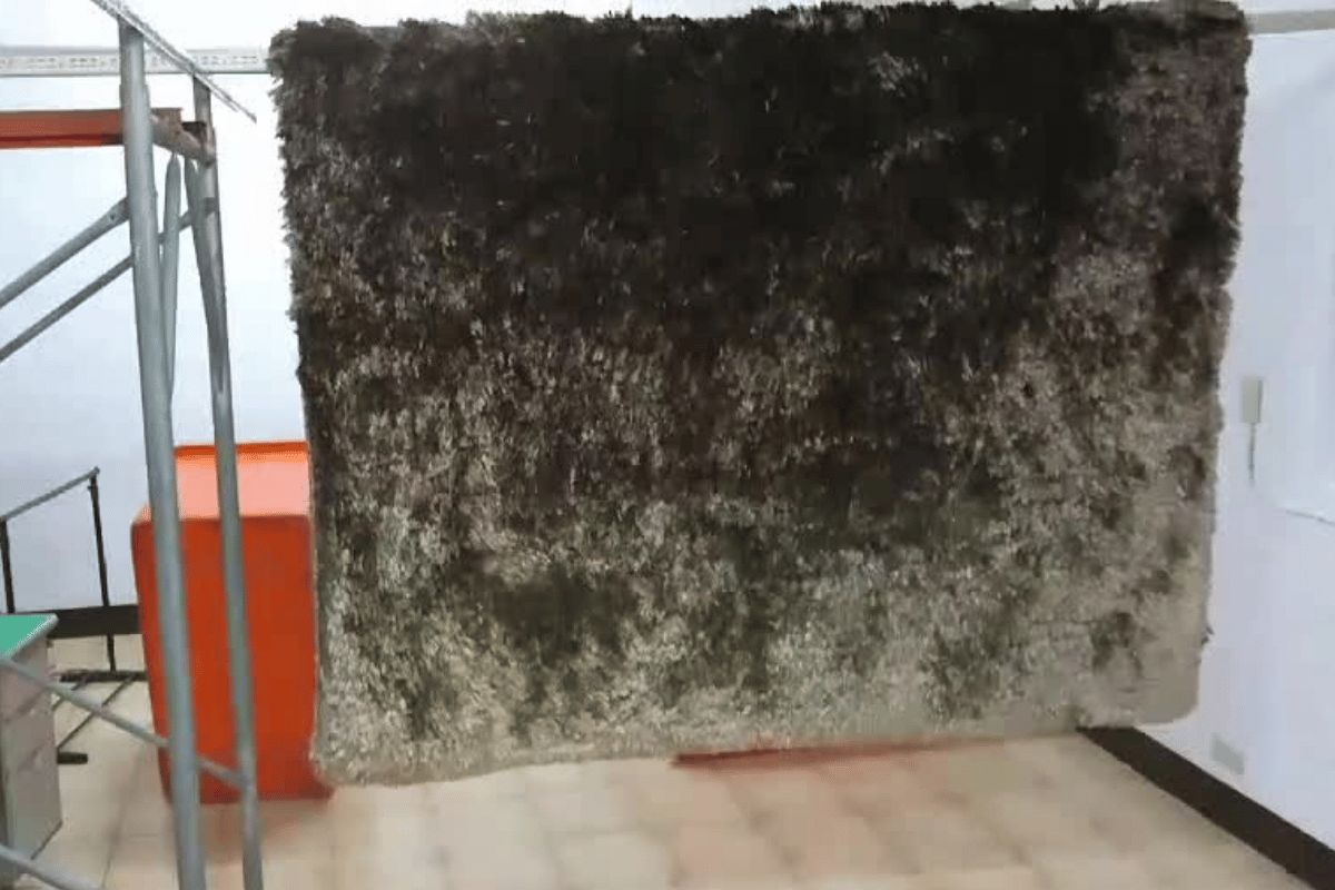 地毯