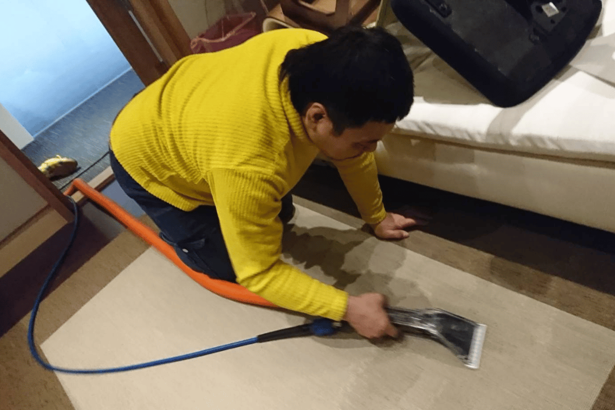 地毯清洗